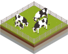 Our-Cows Our-Cows